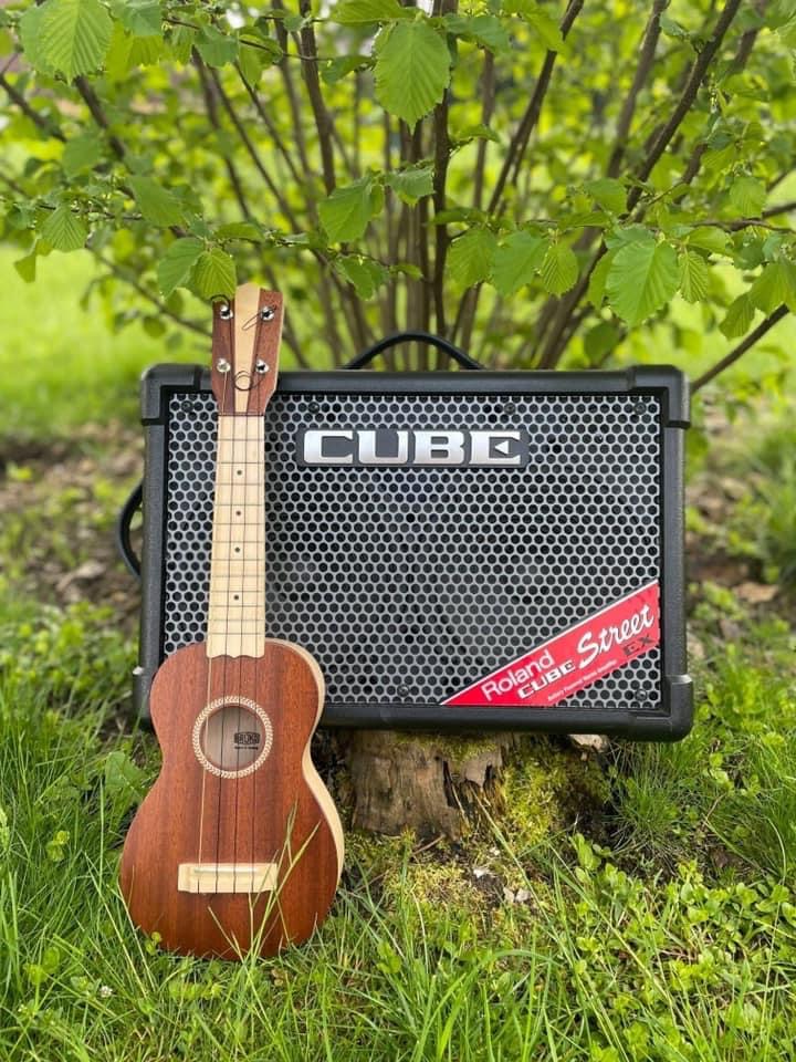 Ukulele für alle | Kurs für Anfänger*innen